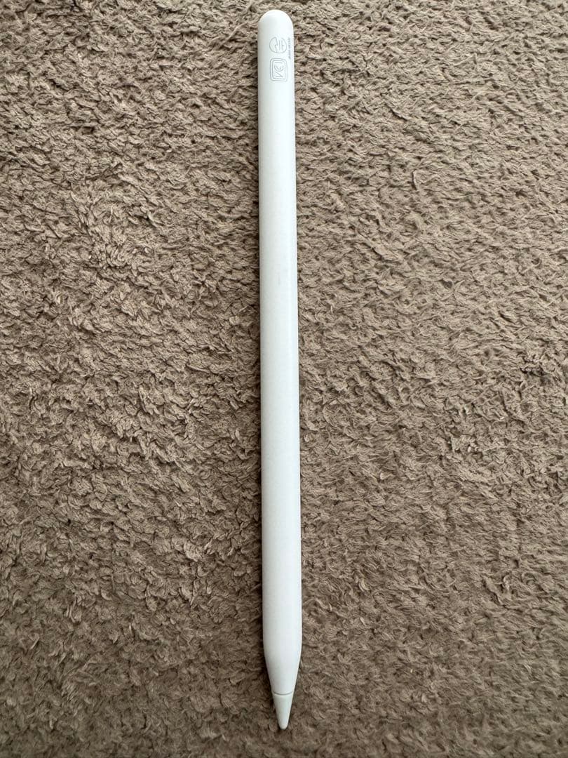 iPad Air 第5世代 256GB SIMフリー Applepencil他付