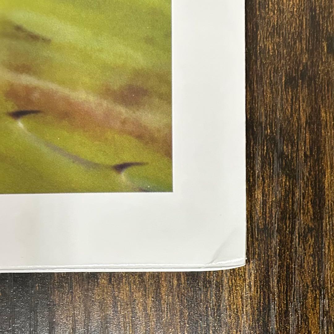 Jejune / This Afternoons Malady 再発盤LP