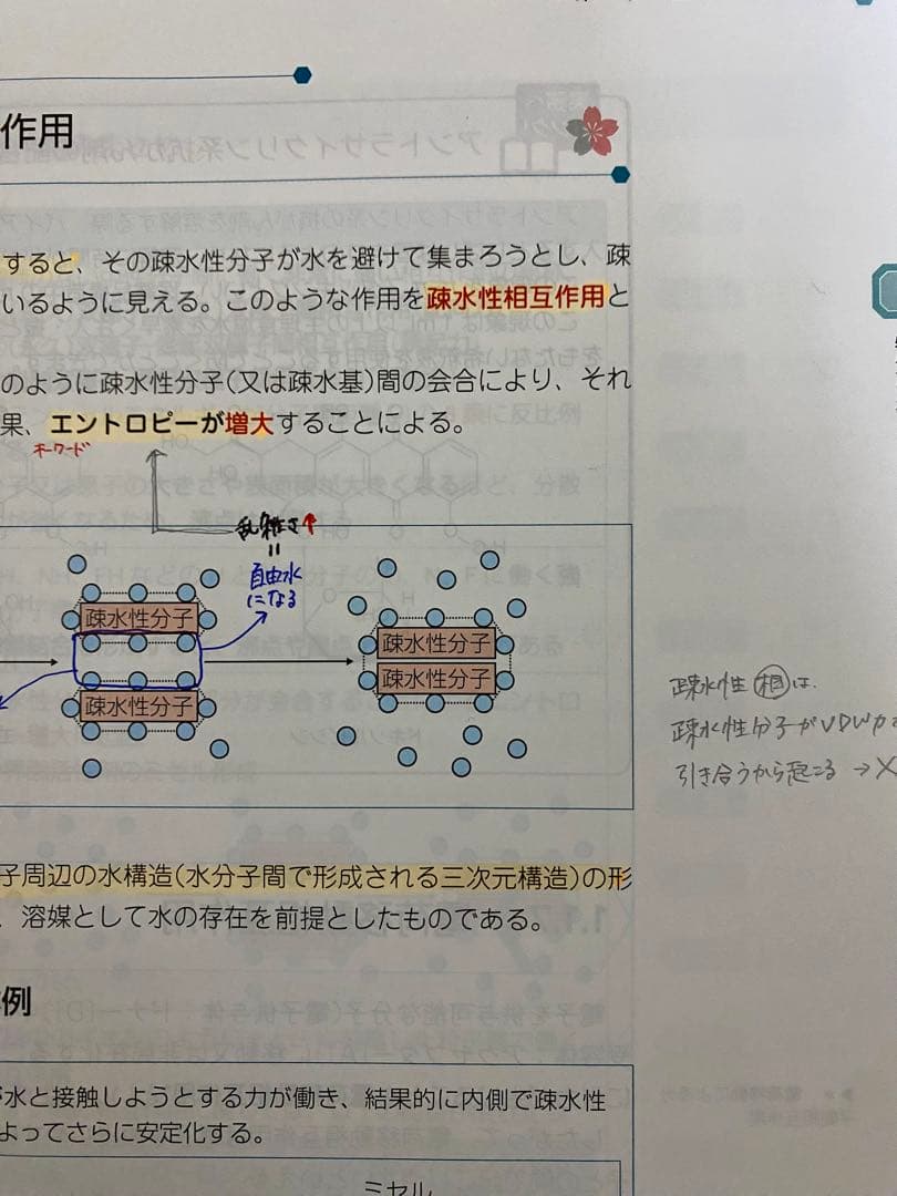 第110回 薬剤師国家試験対策 青本青問（おまけ付き）