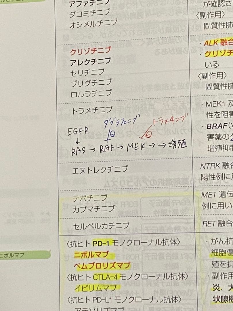 第110回 薬剤師国家試験対策 青本青問（おまけ付き）