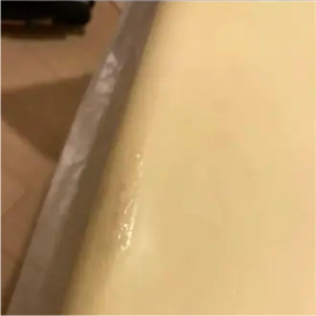 アルメリック　フライヤー2