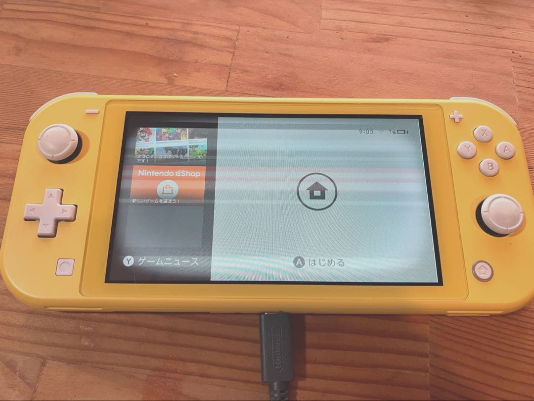 専用Roku様【ジャンク品】Nintendo Switch Lite 本体