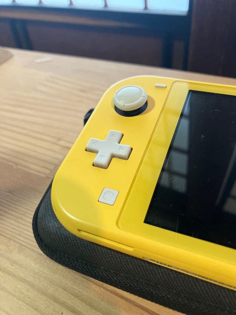 専用Roku様【ジャンク品】Nintendo Switch Lite 本体