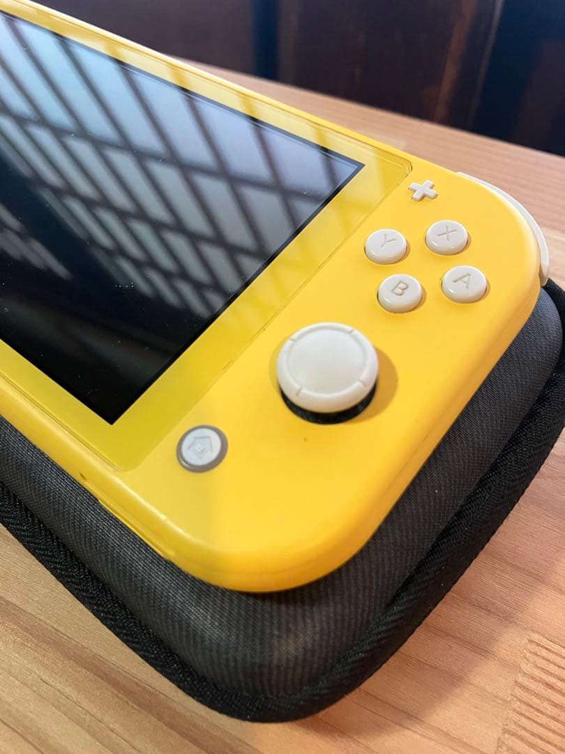専用Roku様【ジャンク品】Nintendo Switch Lite 本体