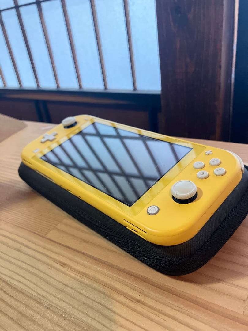専用Roku様【ジャンク品】Nintendo Switch Lite 本体