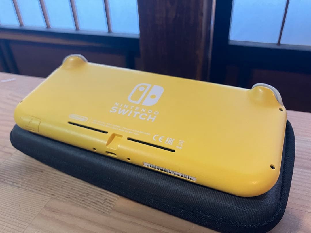 専用Roku様【ジャンク品】Nintendo Switch Lite 本体
