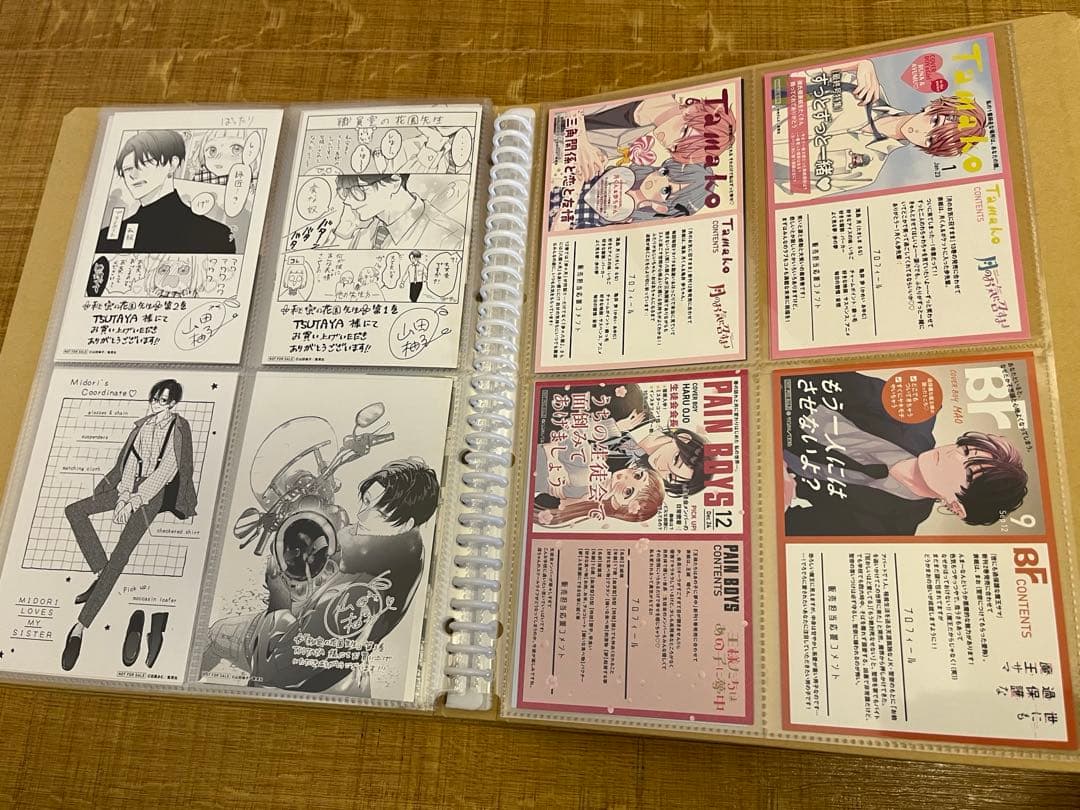 少女漫画 私の彼氏棚 特典