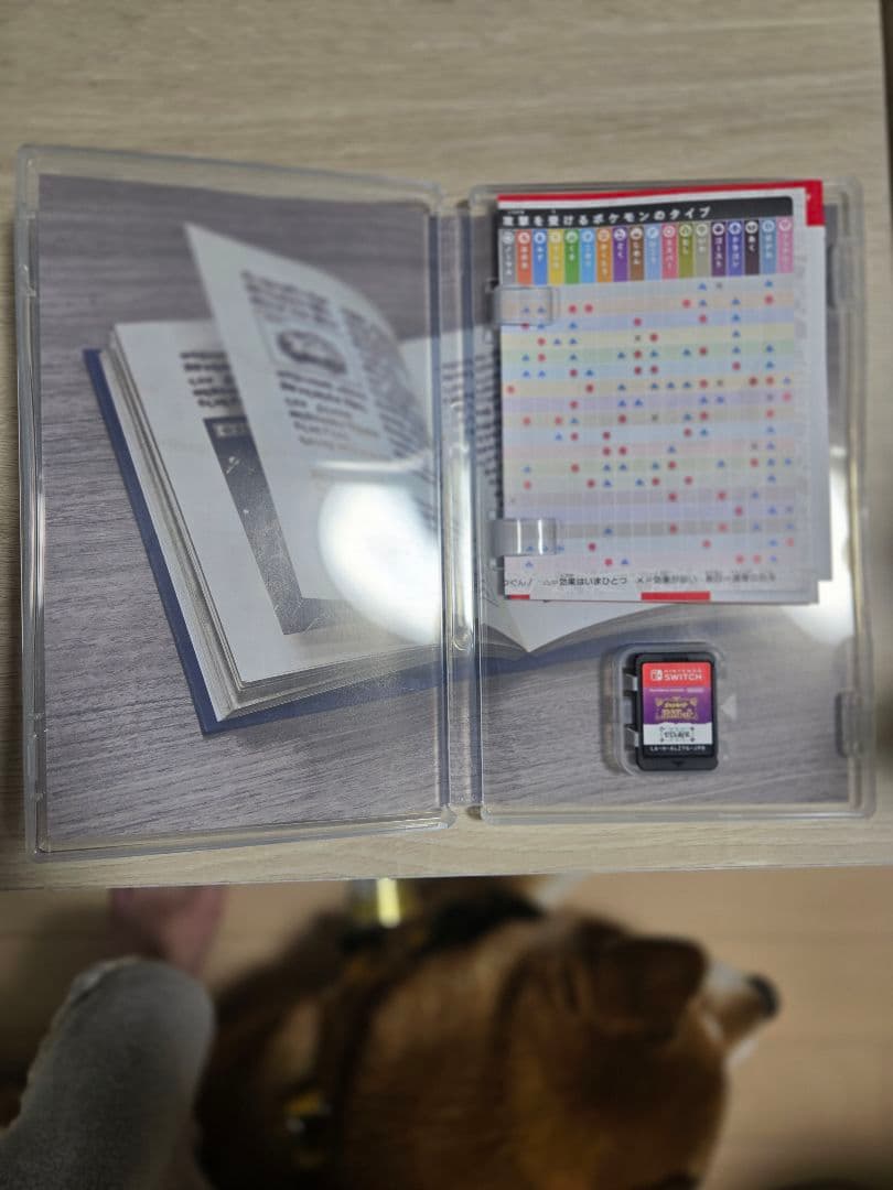 ユ*家様 Nintendo Switch ポケットモンスター バイオレット＋ゼロ