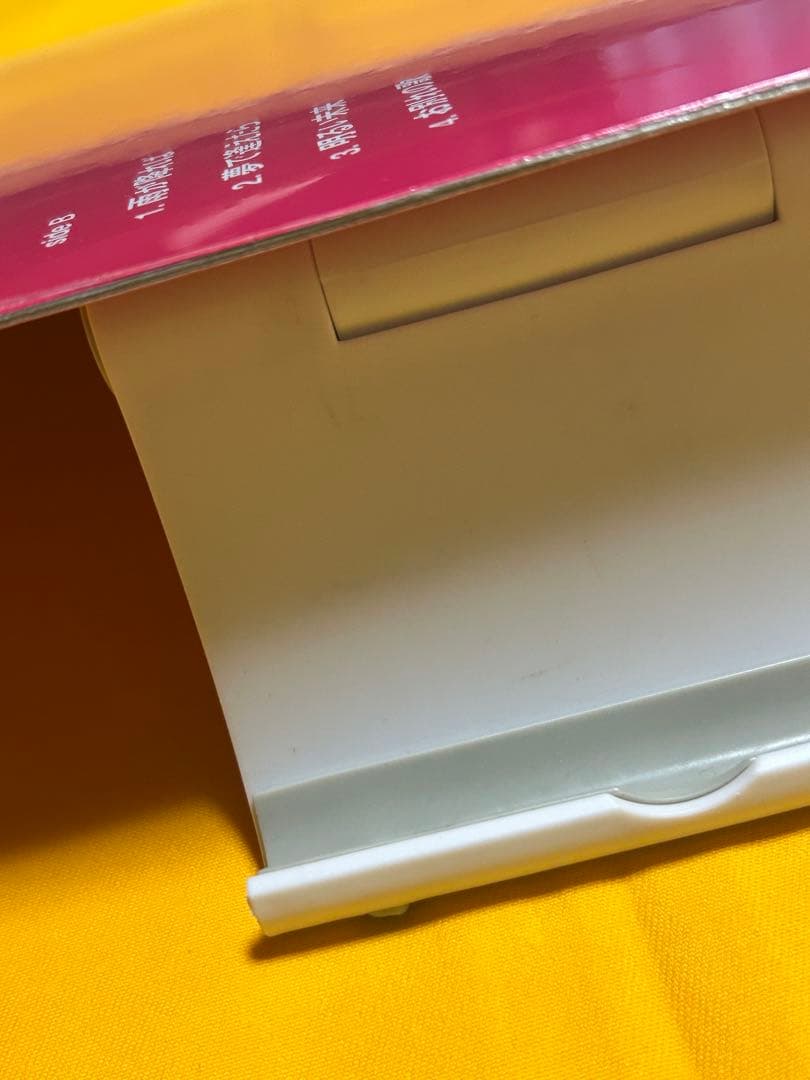 never young beach アナログレコード　再発盤　2枚セット