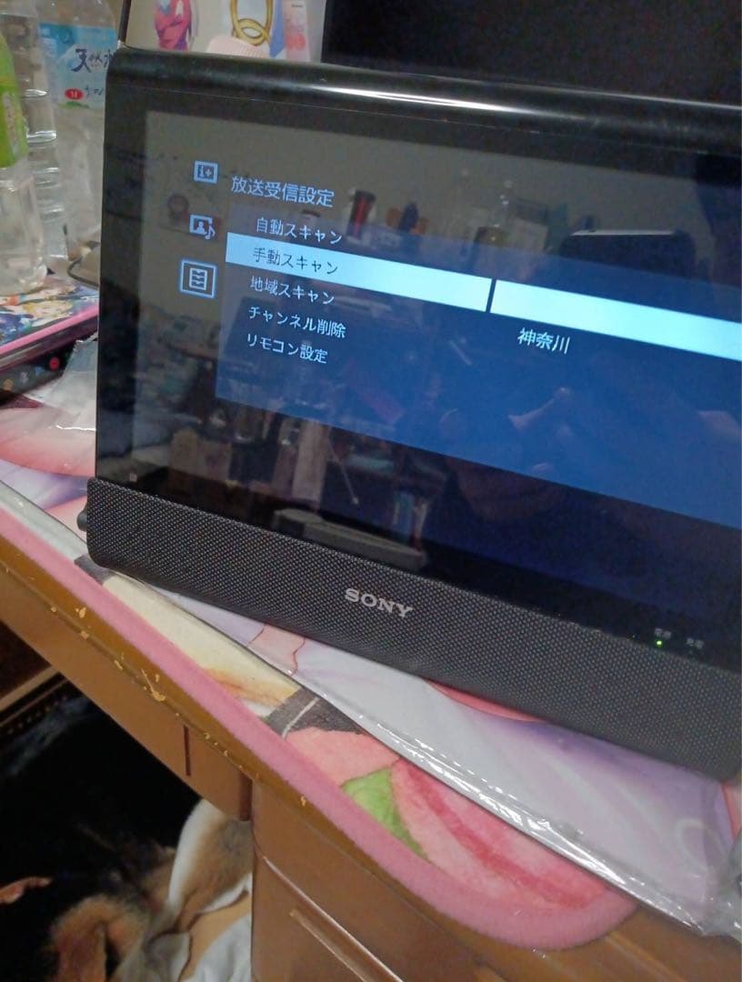 SONY ポータブルテレビBDP-Z1