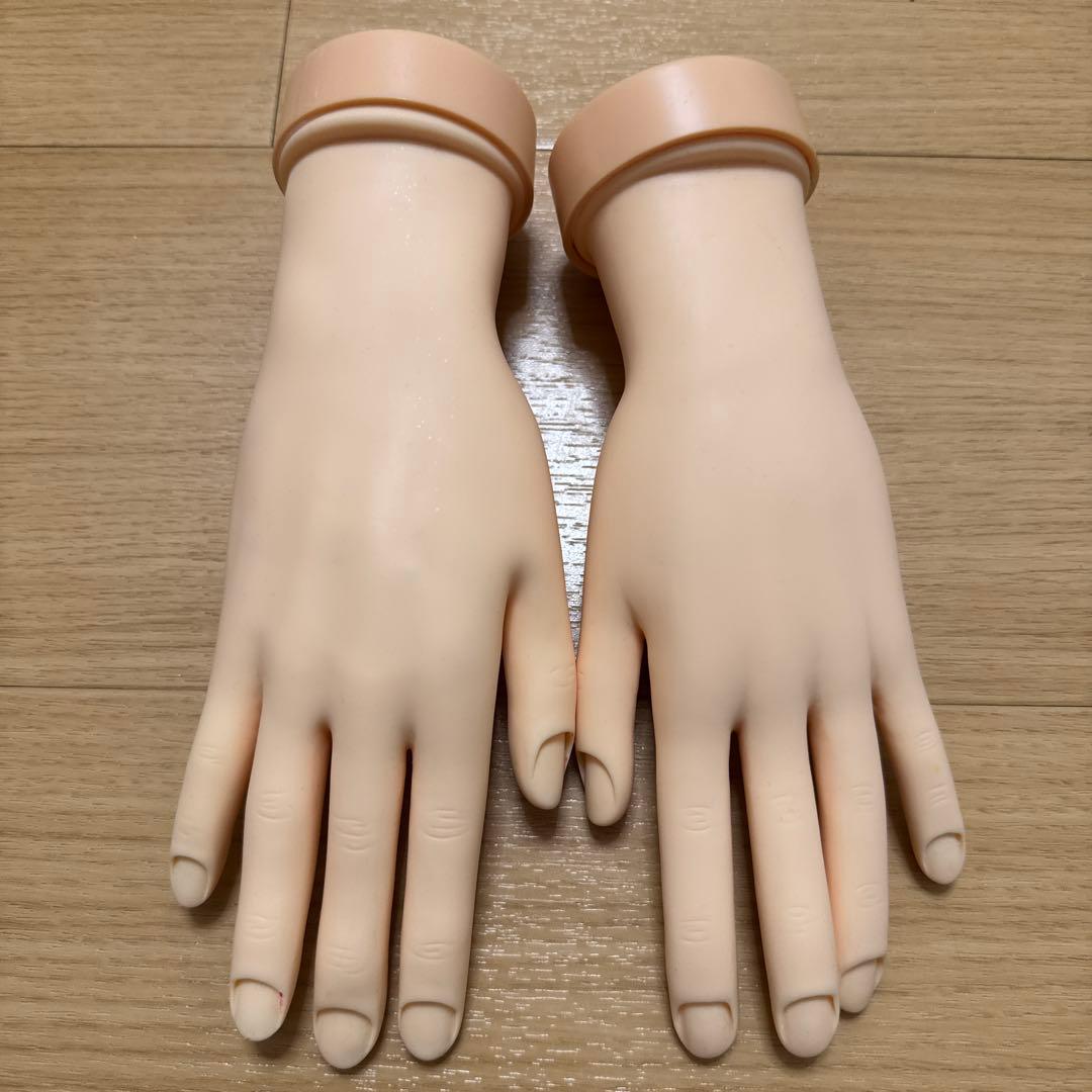 シャレドワ 検定セット ハンドモデル付き