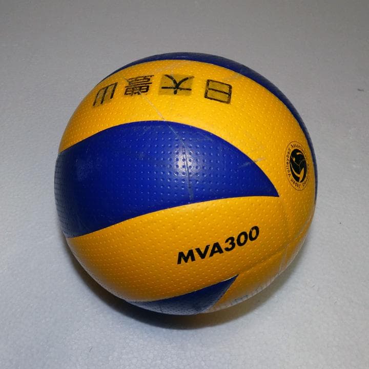 バレーボールのボールなどいろいろ