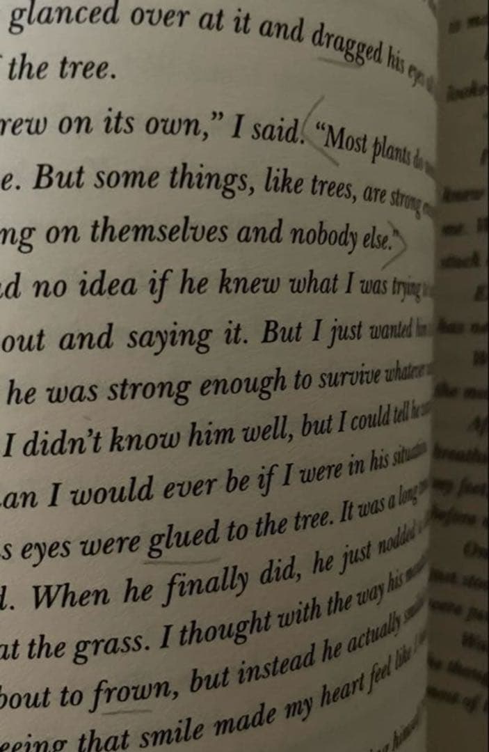 4冊セット　洋書　ウィズダム和英辞典