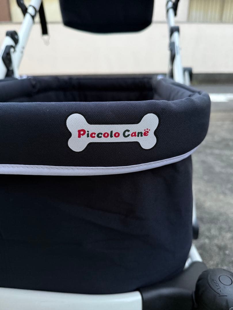 ちわぽめ　ピッコロカーネ　クレア