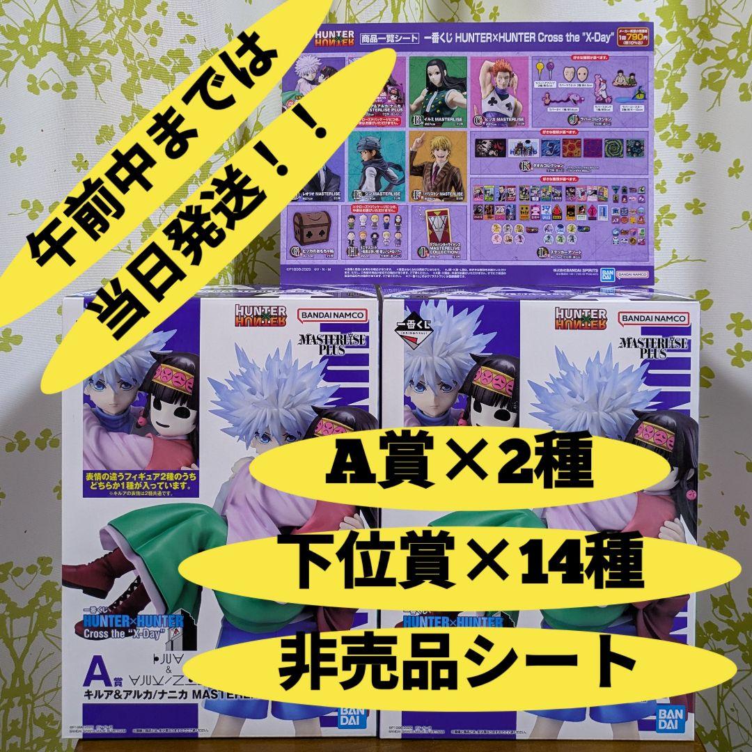 一番くじ HUNTER×HUNTER ハンターハンター A賞 キルア アニカ