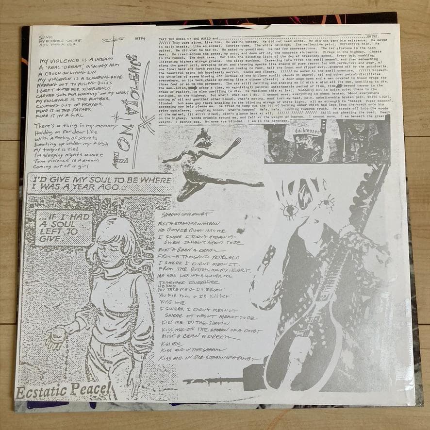 LP UKオリジ Sonic Youth EVOL レコード 1986年