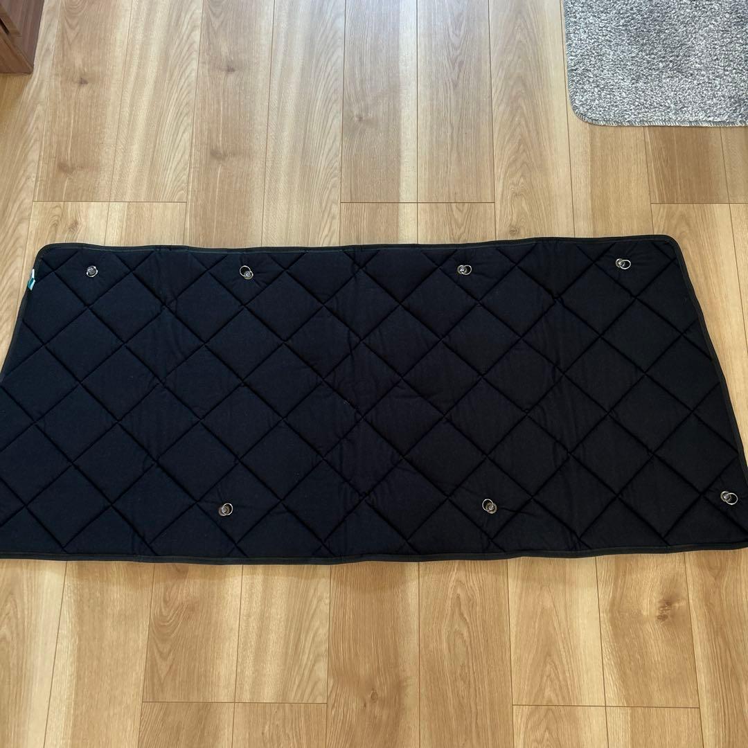 アイズ マルチサンシェード ランクル76