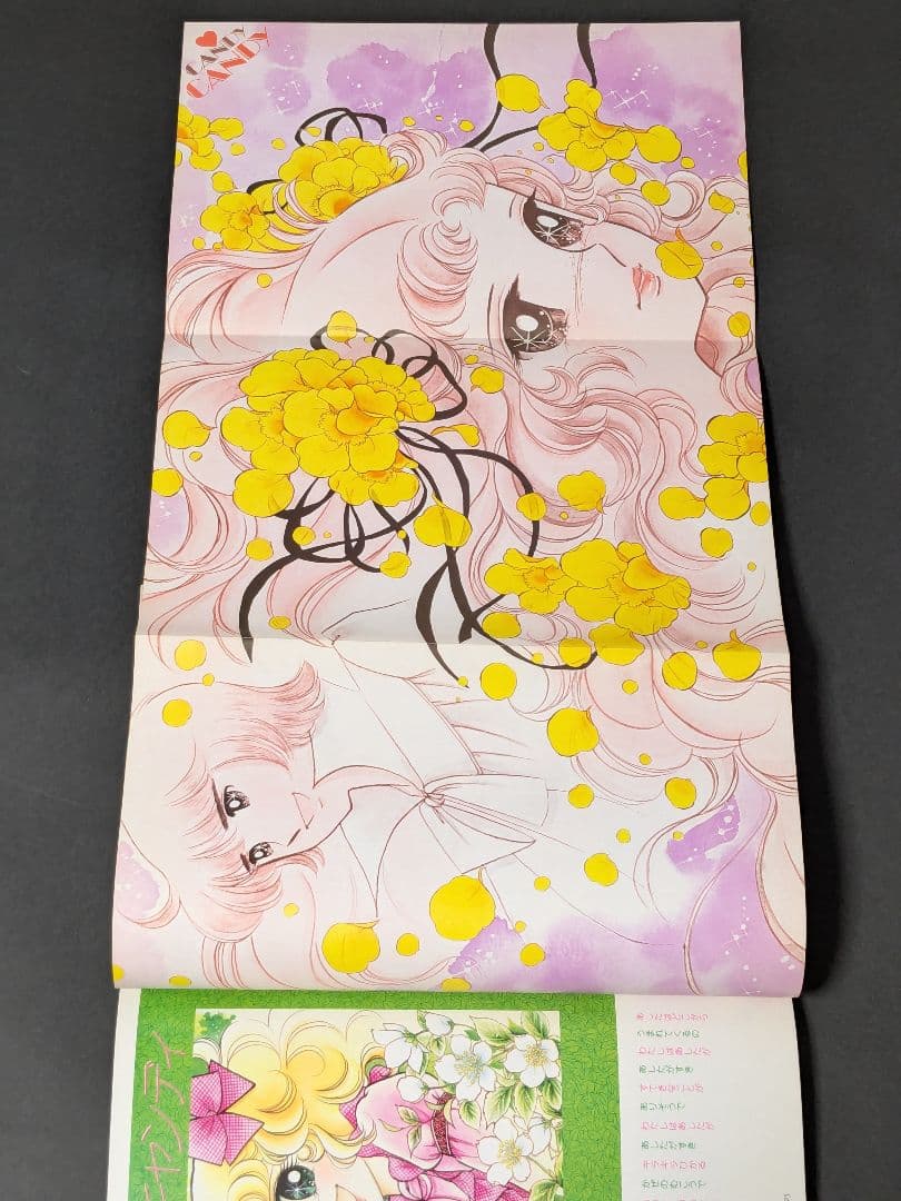 なかよしデラックスアルバム /キャンディキャンディ イラスト集 PART2