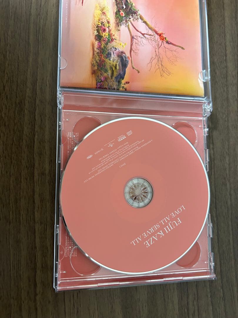 邦楽 HELP EVER HURT NEVER LOVE ALL SERVE ALL