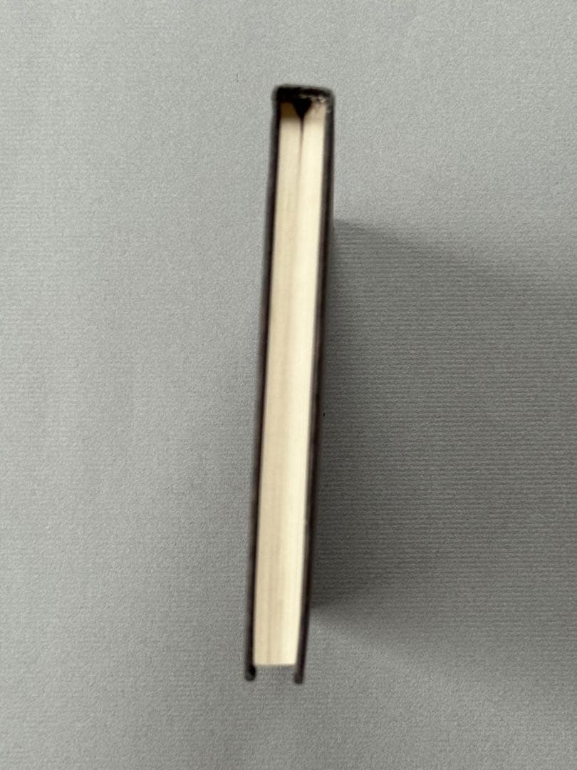 アート・デザイン・音楽 Fishing from the Pavement / Libeskind