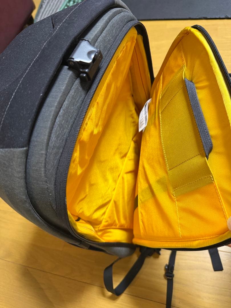 THE NORTH FACEハードタイプ バッグパックPC収納 希少品