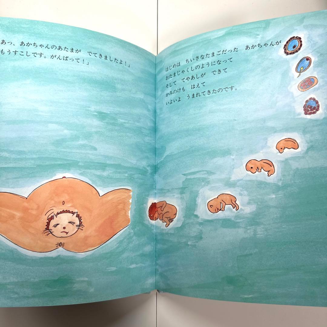 【2点購入150円引】ライオンくんがうまれたよ　やまもとよしこ