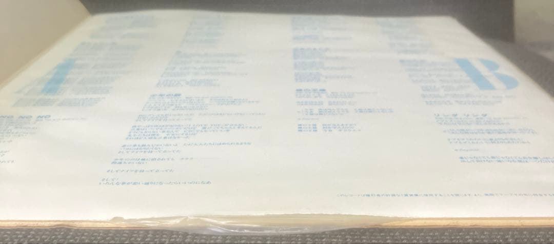 THE BLUE HEARTS 初回版２枚セット