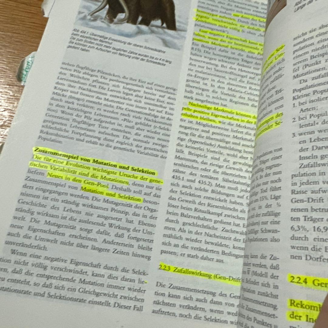 健康・医学 Linder Biologie Metzler