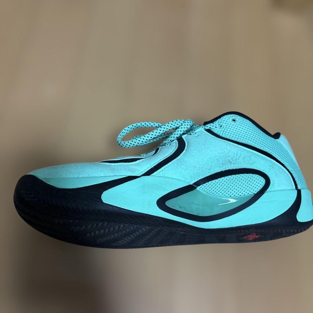 【希少30cm】Nike Jordan Tatum 4 PF