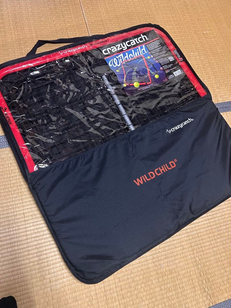 クレイジーキャッチ