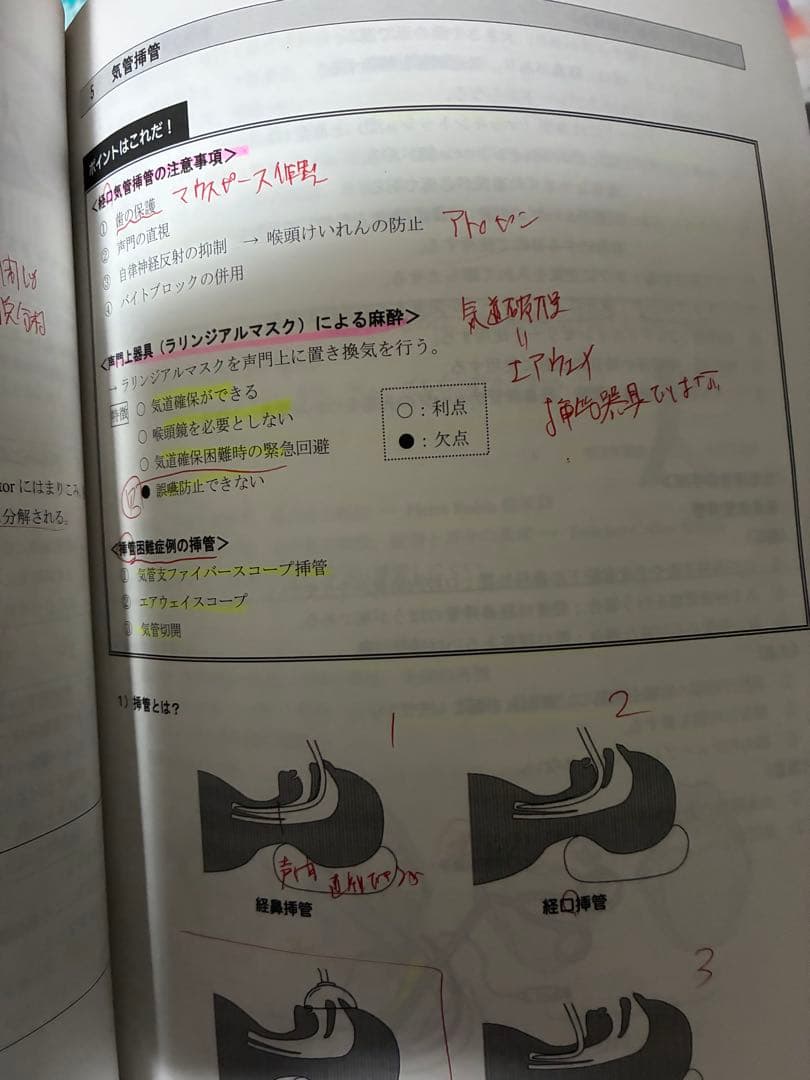 116回歯科医師国家試験　本科生des歯学教育スクール