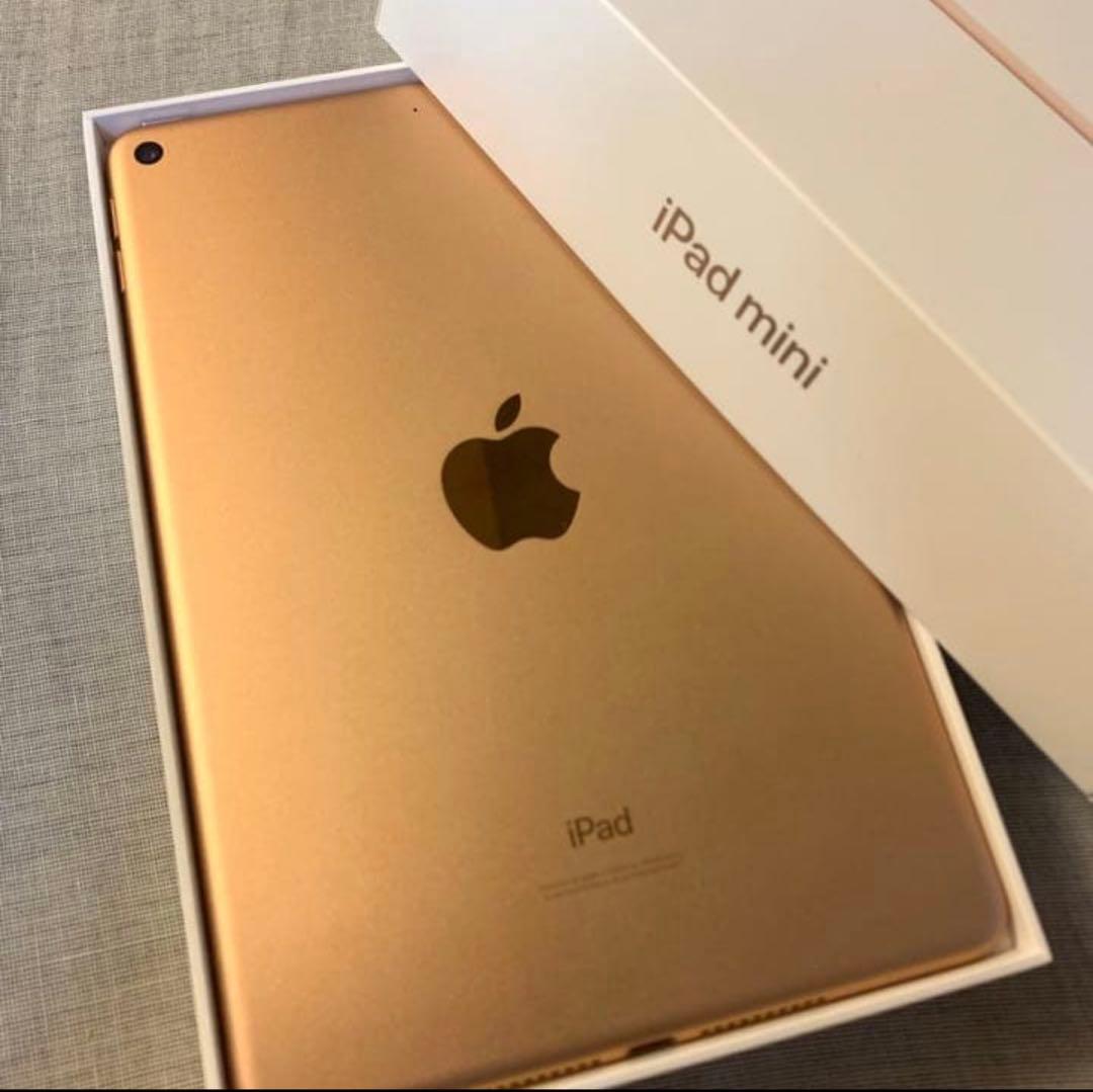 【美品】 iPad mini Wi-Fi 第5世代 【ピンクゴールド】64GB