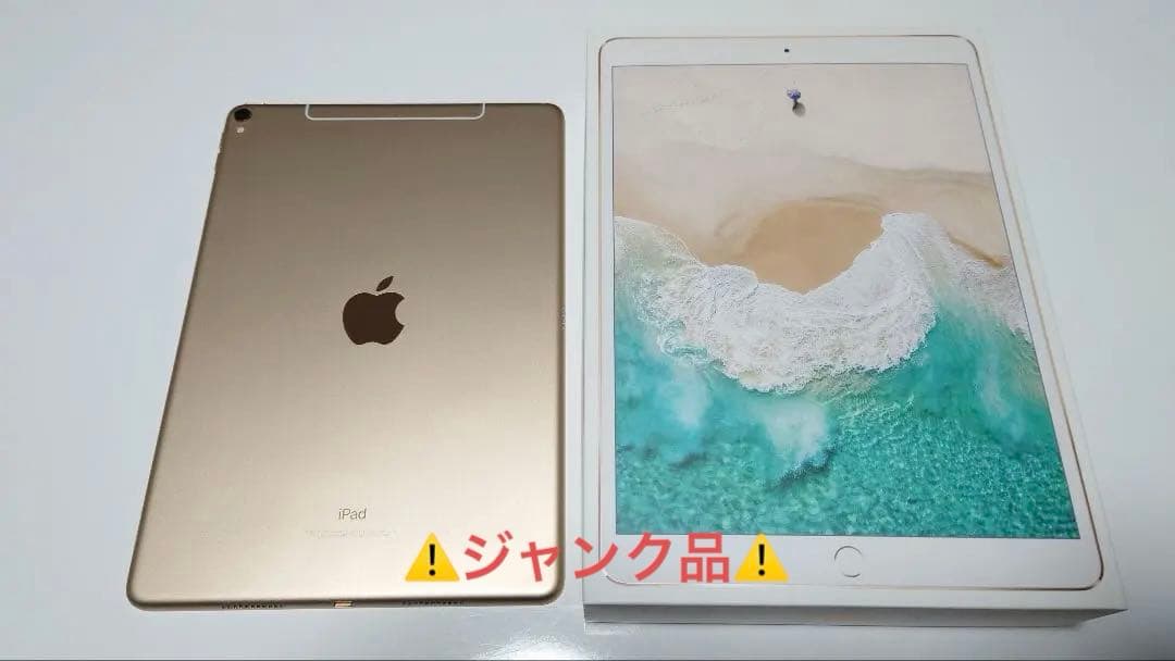 晃【ジャンク品】Apple iPad Pro 10.5 512GB