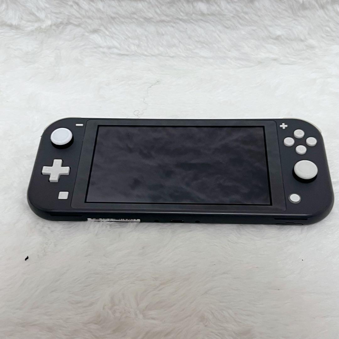 【極美品】Nintendo Switch Lite gray