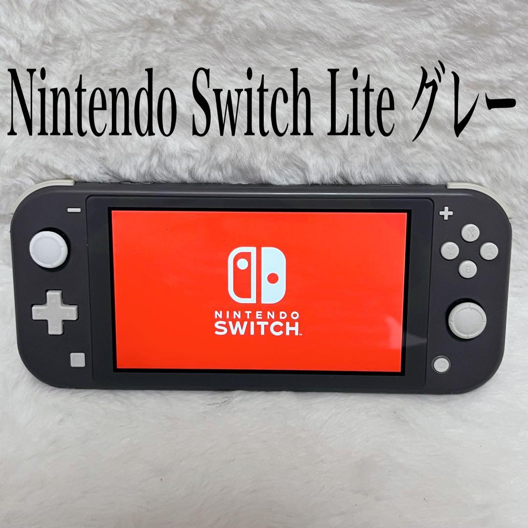 【極美品】Nintendo Switch Lite gray