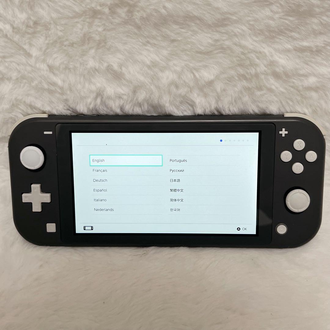 【極美品】Nintendo Switch Lite gray