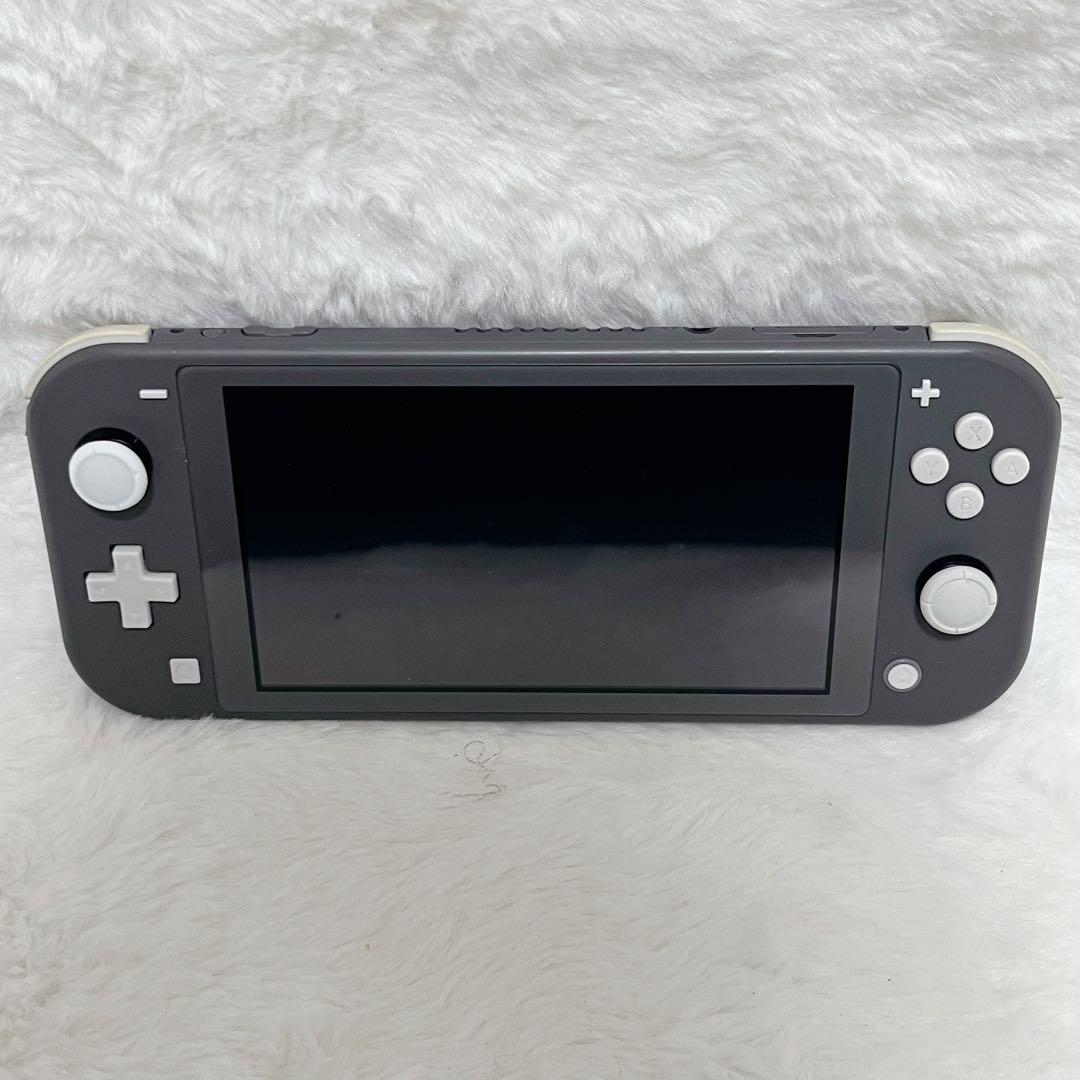 【極美品】Nintendo Switch Lite gray
