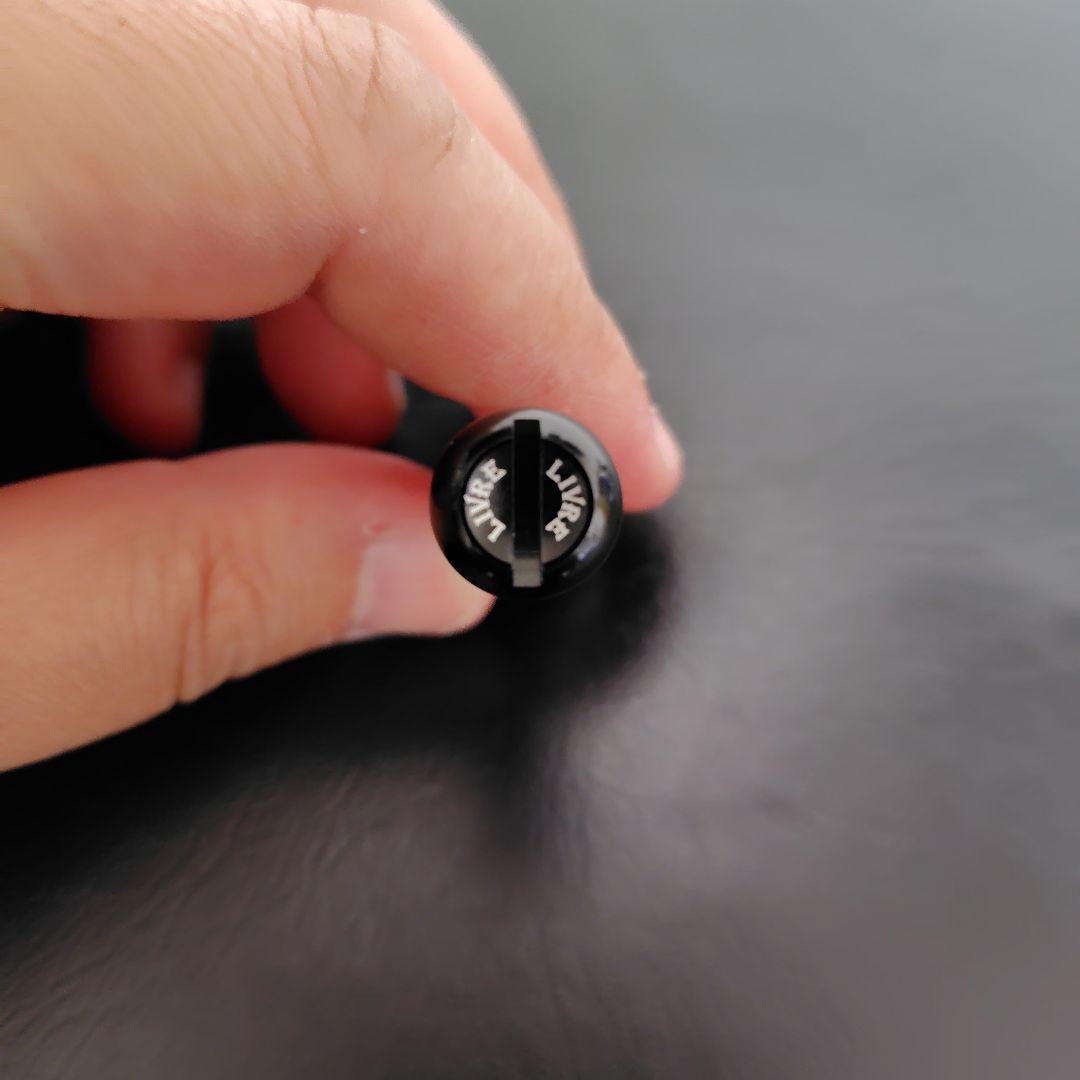 リブレウイング 100