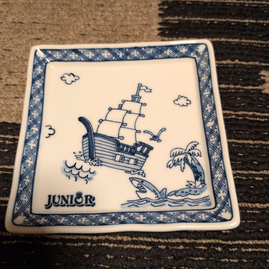 JUNIOR 20周年DVD 特製プレート付き♪ クラックザマリアン