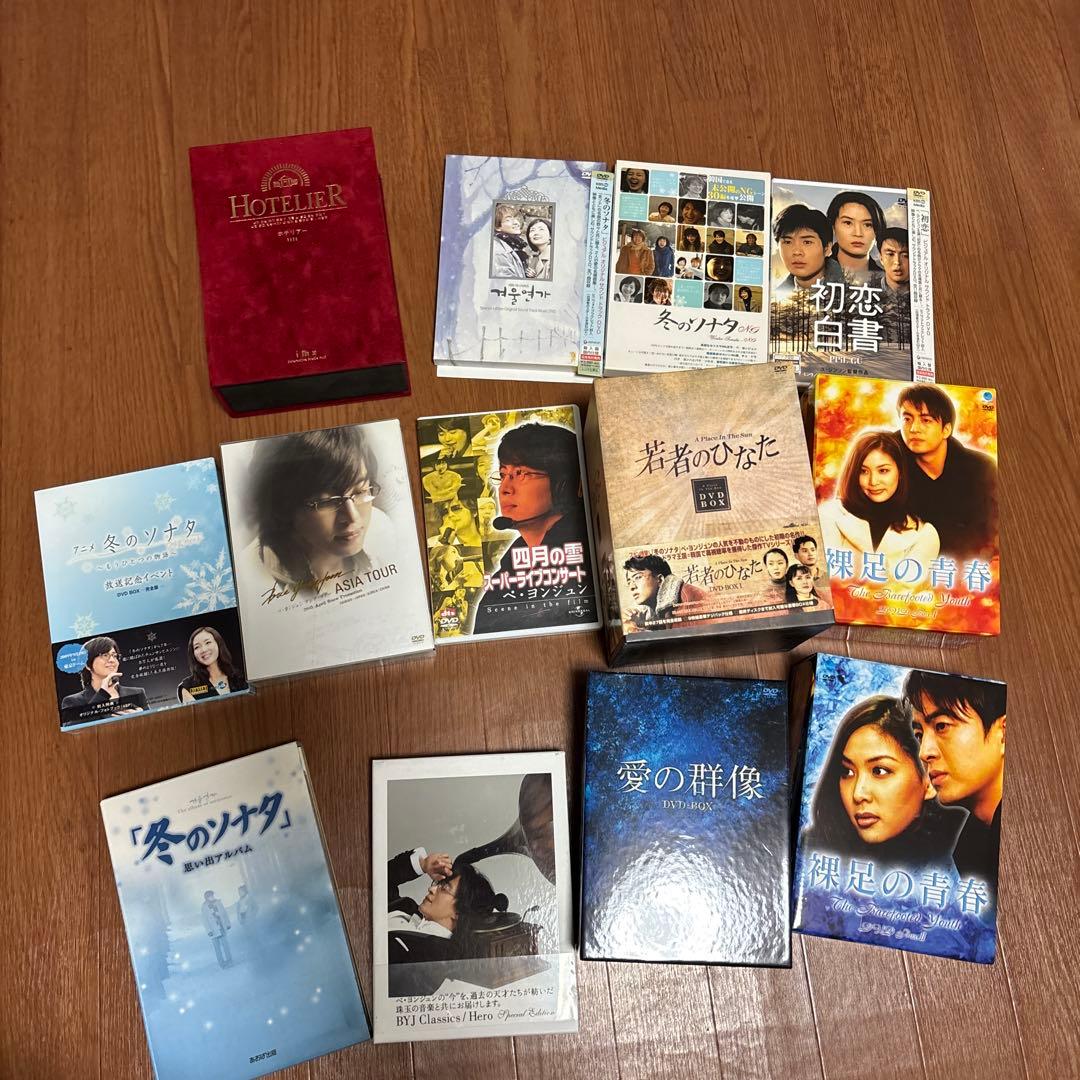 ペヨンジュン　全て14セット