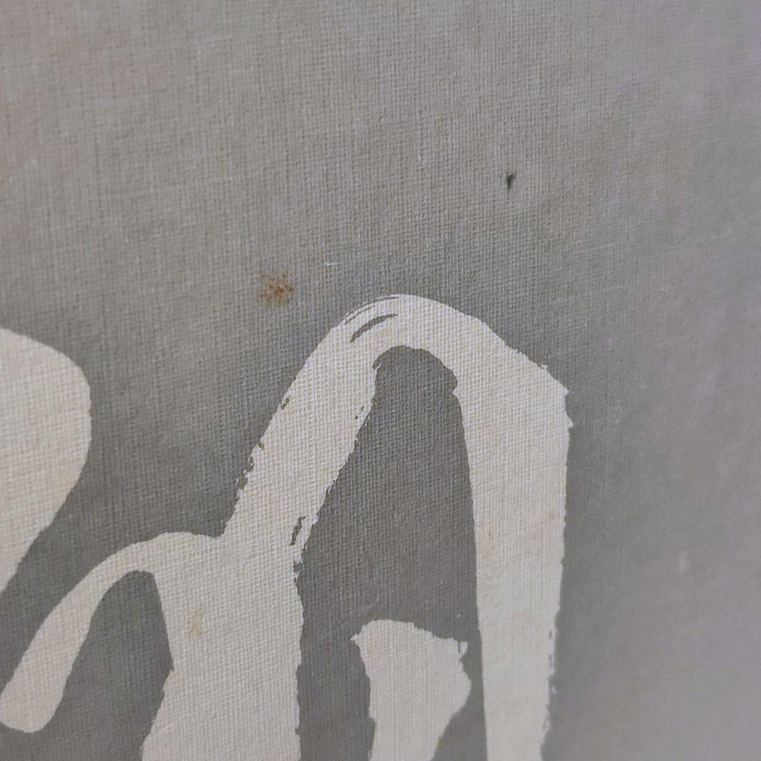 【希少】谷川浩司全集 全2巻セット（外箱付き）MYCOM刊