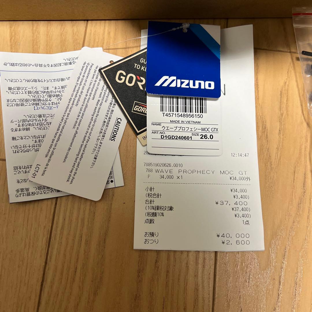 MIZUNO WAVE PROPHECY MOC GTX ブラック　26cm