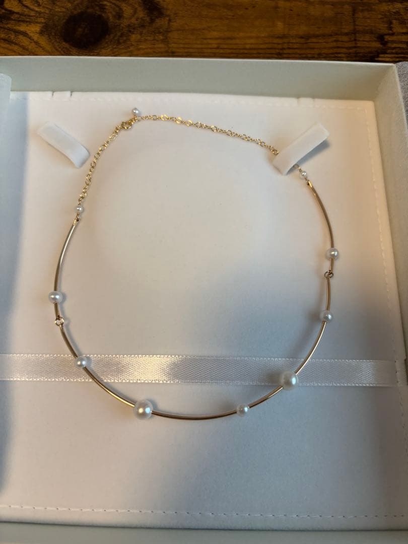 ナチュラリジュエリ　アークチョーカーネックレス