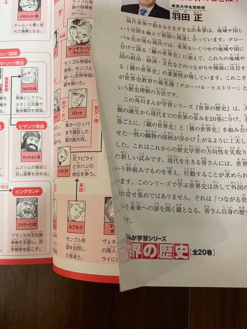 まっちゃ様　世界の歴史 日本の歴史セット