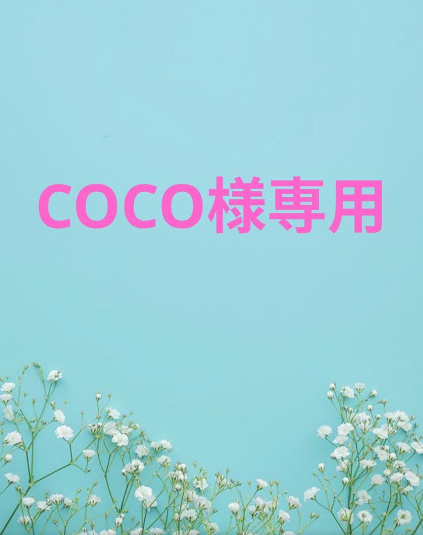 ドッグフード COCO