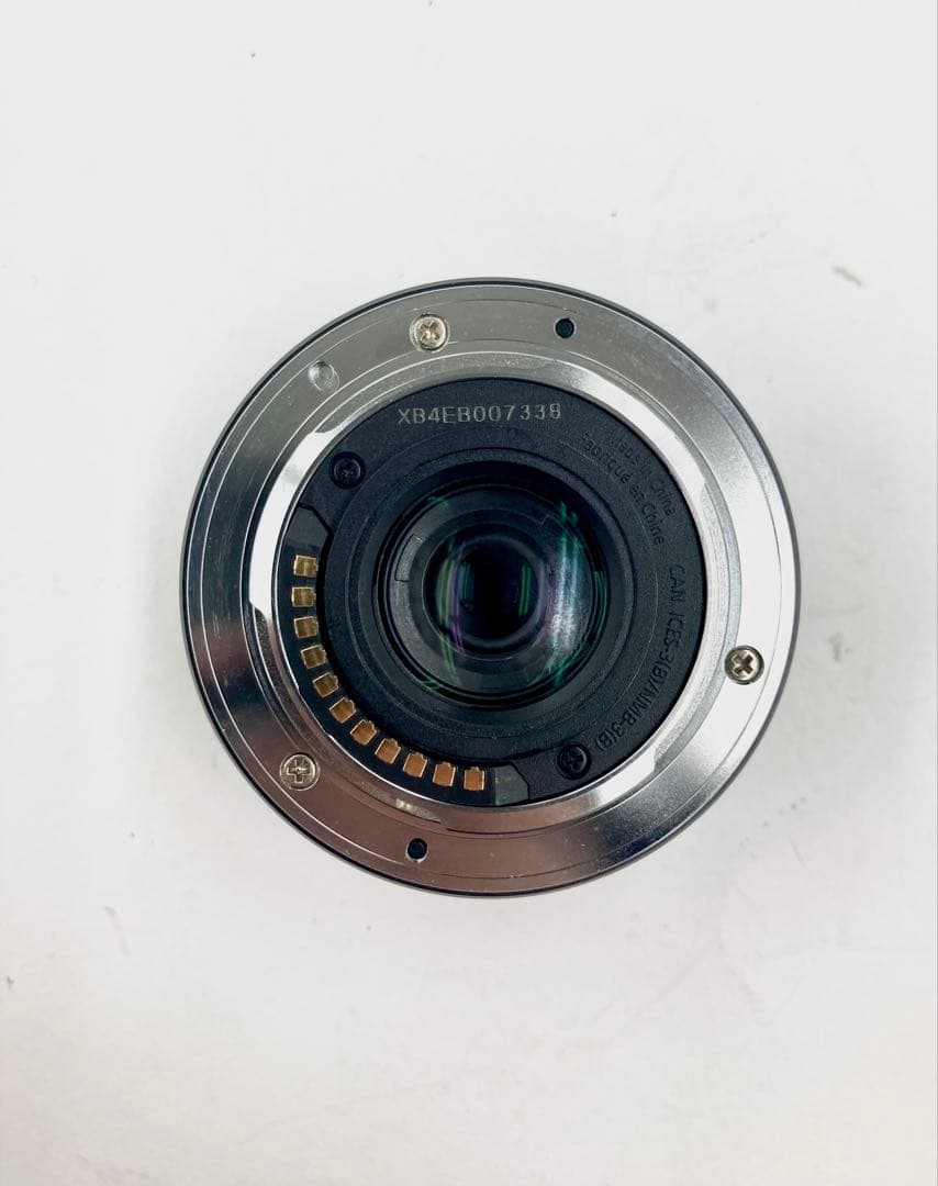 レンズ(ズーム) Panasonic H-FS12032 LUMIX G VARIO12-32mm