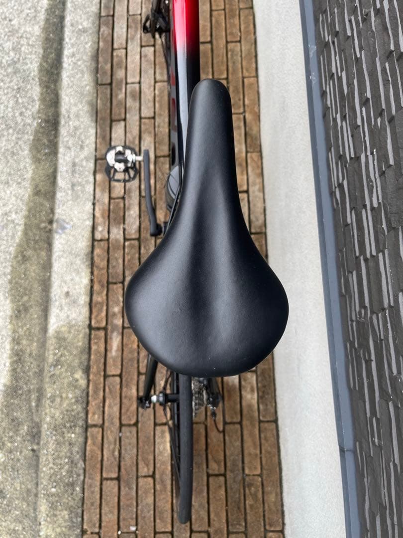 黒諭吉様⭐️専用⭐️Tern サージュ新品未使用品！限定カラー