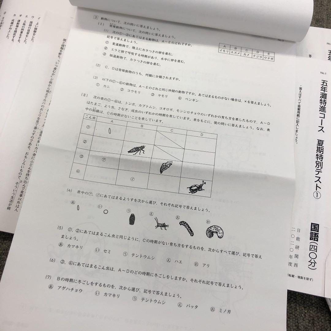 日能研関西　5年灘特進コース　春期/夏期/冬期特別テスト　計4回　2020年度