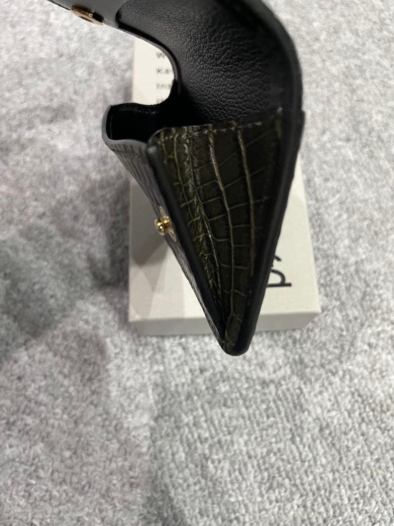 ワイルドスワンズ　タング (EX.Ver) カーキ　ケース