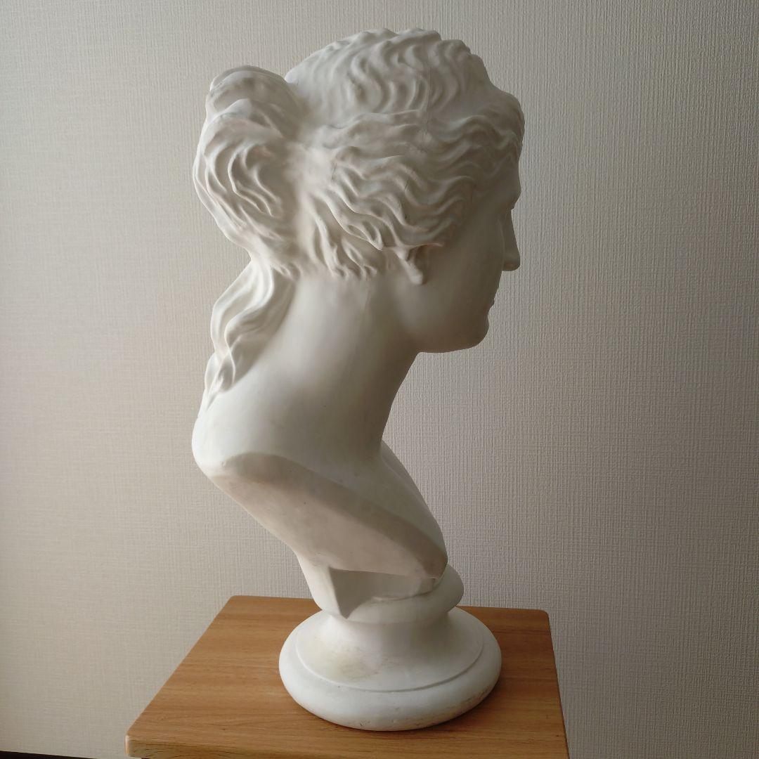 ミロのビーナス　胸像